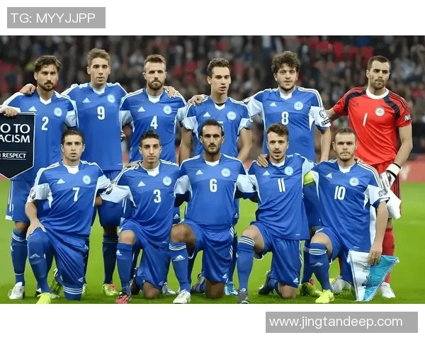 波黑足球现役明星球员全景盘点与成就分析