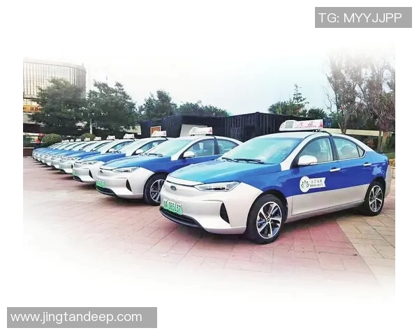 世锦赛特别报道：西安排球队转型之路的挑战与机遇分析