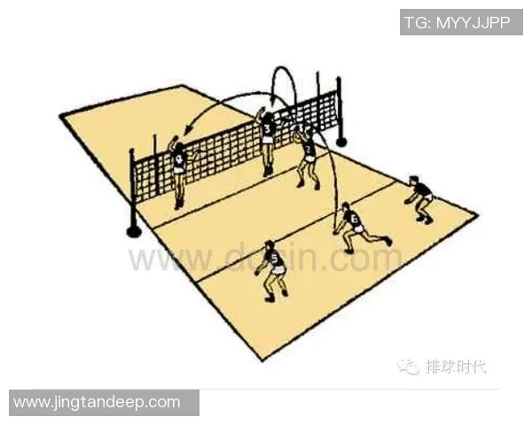 深入分析上海排球队的进攻策略与战术特点解析