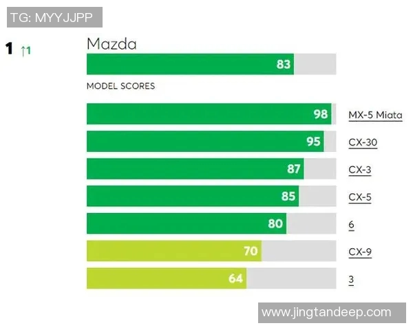 成都排球队强势登顶最新排球实力榜单前十名解析