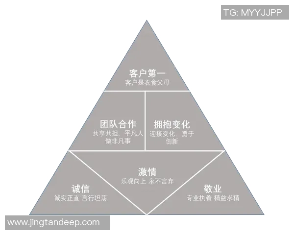 杭州网球队在大师赛中的团队协作表现分析与启示