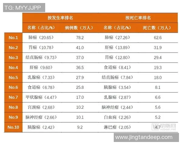 深入探讨北京篮球队在比赛中的耐力表现与数据分析结果