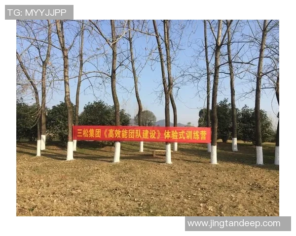 南京乒乓球队实力解析：从训练到比赛的全方位探讨与展望